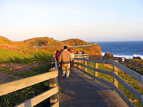 ऑस्‍ट्रेलिया में पर्यटन का बड़ा केंद्र है मेलबॉर्न