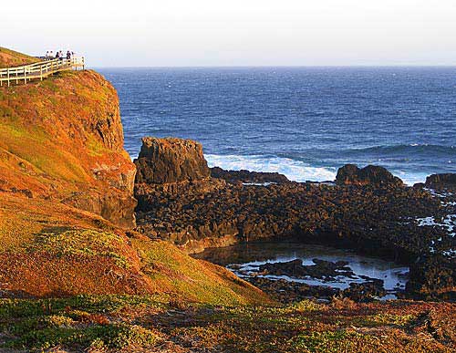 ऑस्‍ट्रेलिया में पर्यटन का बड़ा केंद्र है मेलबॉर्न