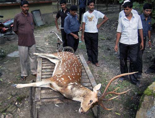 31 अगस्‍त 2011: तस्‍वीरों में देखें दिनभर की बड़ी खबरें | पढ़ें