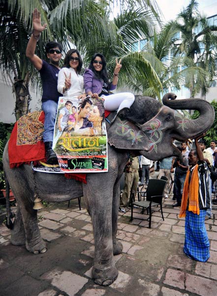 तस्‍वीरों में बीते सप्‍ताह बॉलीवुड की हलचल