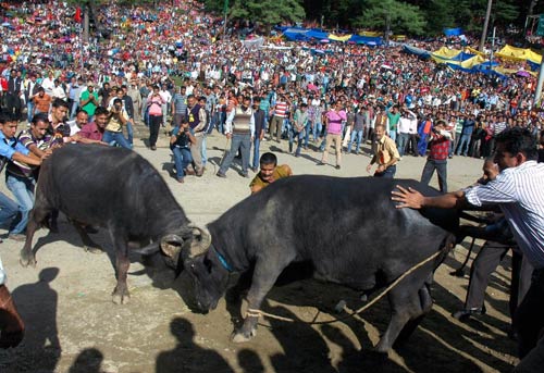 17 सितंबर 2011: तस्‍वीरों में देखें दिनभर की बड़ी खबरें | पढ़ें