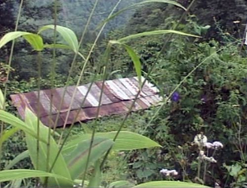 भूकंप के बाद की कुछ और तस्‍वीरें