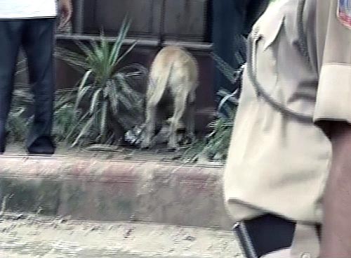 देखें दिल्‍ली में कैसे हुआ बम ब्‍लास्‍ट | क्‍या है सुरक्षा का हाल