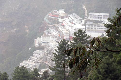 चलो बुलावा आया है, माता ने बुलाया है... | विशेष कवरेज