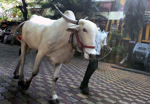 22 अक्‍टूबर 2011: तस्वीरों में देखें दिनभर की बड़ी खबरें  | पढ़ें