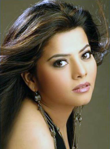 बिग बॉस-5: दो होस्ट, 1 एक विलेन और 13 हसीनाएं