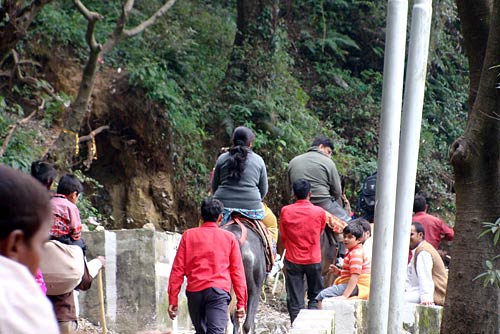चलो बुलावा आया है, माता ने बुलाया है... | विशेष कवरेज