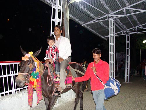 चलो बुलावा आया है, माता ने बुलाया है... | विशेष कवरेज