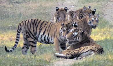 तस्‍वीरों में बीते सप्‍ताह बॉलीवुड की हलचल | ग्लैमर का तड़का