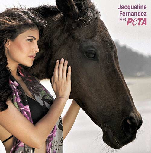 बीते सप्‍ताह बॉलीवुड की प्रमुख हलचल | बोल्‍ड होती बालाएं... 