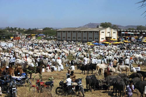 17 नवंबर 2011: तस्‍वीरों में देखें दिनभर की बड़ी खबरें | पढ़ें