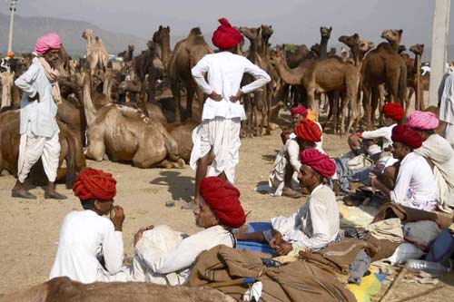 6 नवंबर 2011: तस्‍वीरों में देखें दिनभर की बड़ी खबरें | पढ़ें