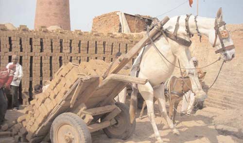 बीते सप्‍ताह बॉलीवुड की प्रमुख हलचल | बोल्‍ड होती बालाएं... 