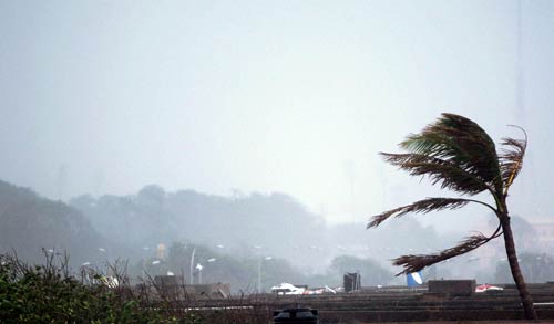 'ठाणे' तूफान ने मचाई तबाही