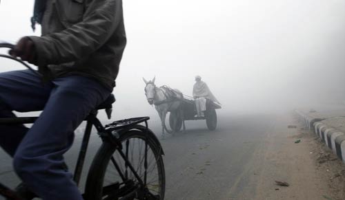 कोहरे की चादर में लिपटा उत्तर भारत | वीडियो: बड़ा घना कोहरा है