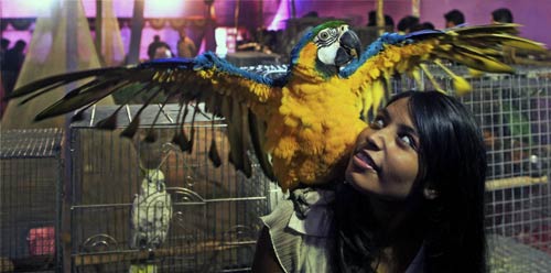 24 दिसंबर 2011: तस्वीरों में देखें दिनभर की बड़ी खबरें | पढ़ें