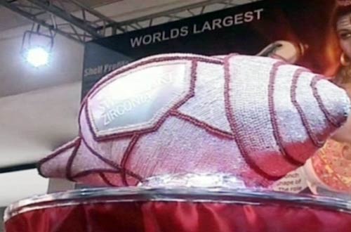 17 दिसंबर 2011: तस्वीरों में देखें दिनभर की बड़ी खबरें | पढ़ें