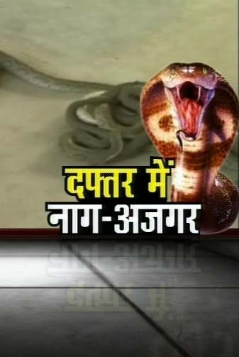 01 दिसंबर 2011: तस्‍वीरों में देखें दिनभर की बड़ी खबरें | पढ़ें