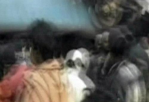 तस्‍वीरों में देखिए ब्रह्मपुत्र एक्‍सप्रेस कैसे हुई दुर्घटनाग्रस्‍त