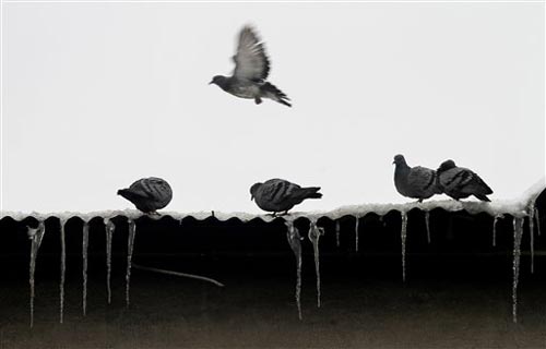 जन्‍नत-ए-कश्‍मीर में बर्फबारी के सुंदर नजारे