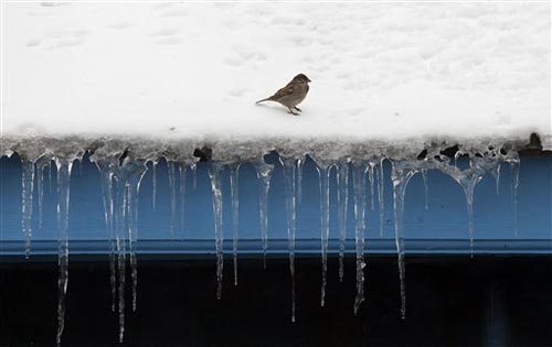 जन्‍नत-ए-कश्‍मीर में बर्फबारी के सुंदर नजारे