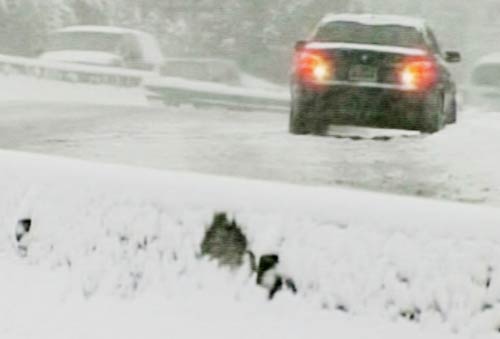 19 जनवरी 2012: तस्‍वीरों में देखें दिनभर की बड़ी खबरें | पढ़ें