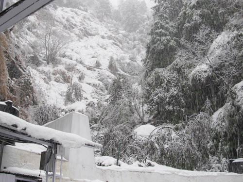 बर्फबारी के बीच 'जय माता दी' की गूंज | विशेष कवरेज