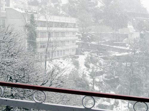 बर्फबारी के बीच 'जय माता दी' की गूंज | विशेष कवरेज