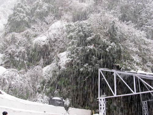 बर्फबारी के बीच 'जय माता दी' की गूंज | विशेष कवरेज