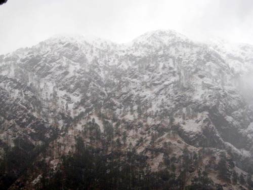 बर्फबारी के बीच 'जय माता दी' की गूंज | विशेष कवरेज