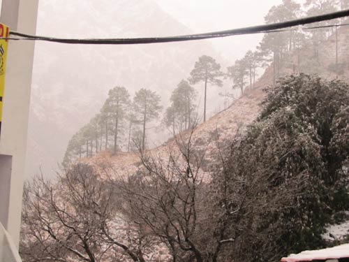 बर्फबारी के बीच 'जय माता दी' की गूंज | विशेष कवरेज