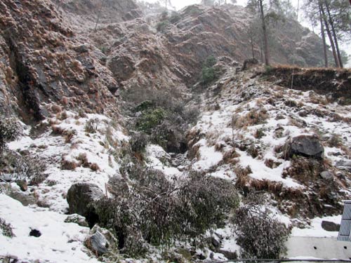 बर्फबारी के बीच 'जय माता दी' की गूंज | विशेष कवरेज