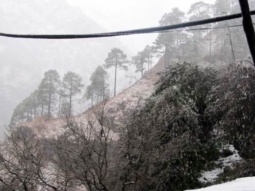 बर्फबारी के बीच 'जय माता दी' की गूंज | विशेष कवरेज