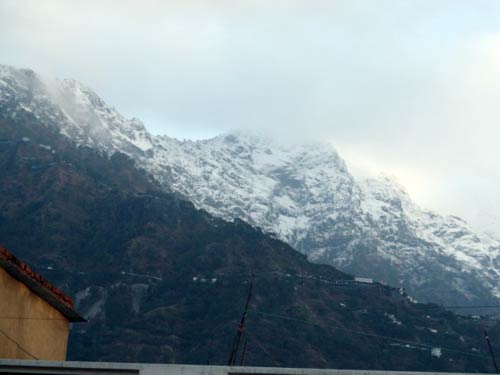 बर्फबारी के बीच 'जय माता दी' की गूंज | विशेष कवरेज