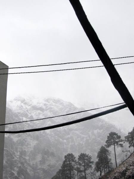 बर्फबारी के बीच 'जय माता दी' की गूंज | विशेष कवरेज