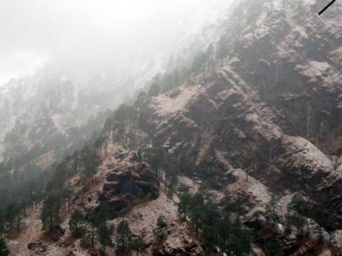 बर्फबारी के बीच 'जय माता दी' की गूंज | विशेष कवरेज