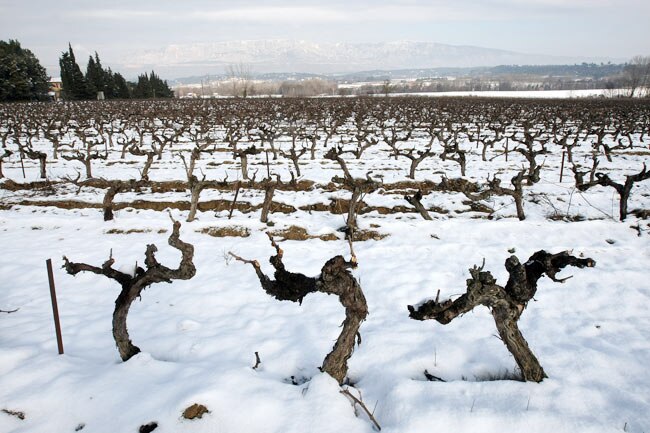 यूरोप में भारी बर्फबारी, आम जिंदगी प्रभावित