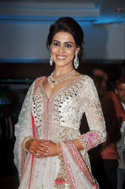 रितेश-जेनेलिया के संगीत समारोह का एलबम | रितेश-जेनेलिया की पार्टी