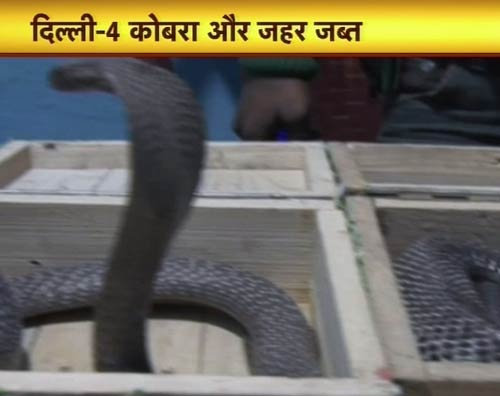 13 फरवरी 2012: तस्‍वीरों में देखें दिनभर की बड़ी खबरें