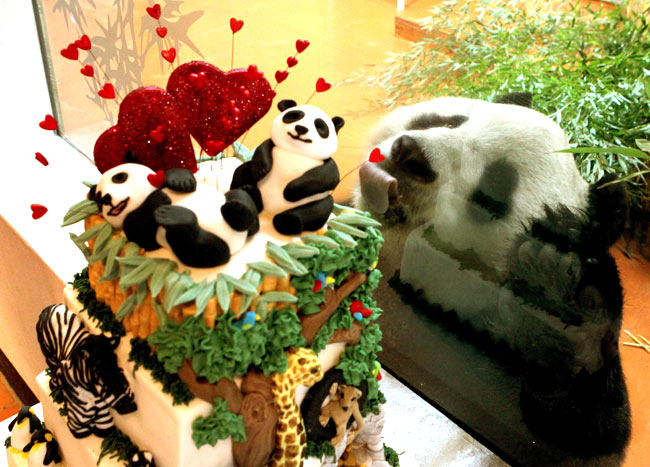 पूरी दुनिया में प्यार की एक ही जुबां | रोमांटिक फिल्में