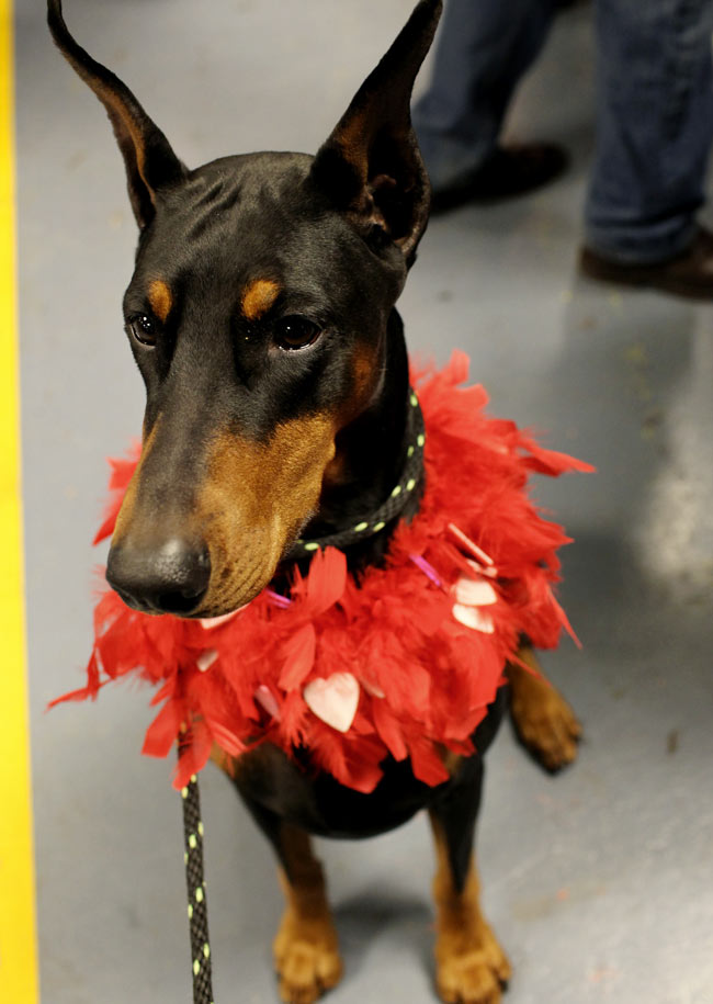 पूरी दुनिया में प्यार की एक ही जुबां | रोमांटिक फिल्में