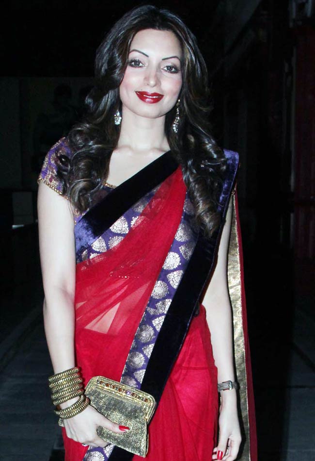 6 साल के प्यार के बाद एक-दूसरे के होंगे आमिर-संजीदा | रितेश की शादी