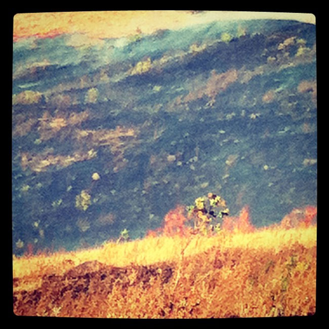 ट्विटर के जरिए सितारों का पब्लिक 'कनेक्शन' | सविता भाभी