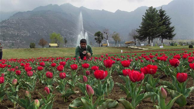 28 मार्च 2012: तस्वीरों में देखें दिनभर की बड़ी खबरें | पढ़ें