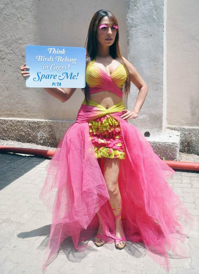 'पेटा' के लिए पूजा मिश्रा का फोटोशूट | पेटा व सुंदरियां