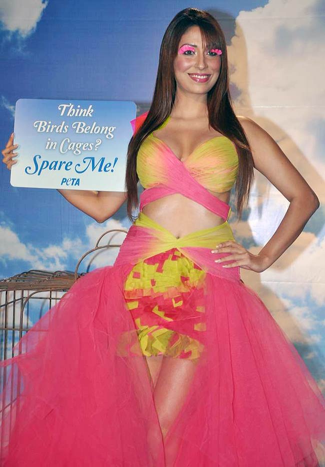 'पेटा' के लिए पूजा मिश्रा का फोटोशूट | पेटा व सुंदरियां