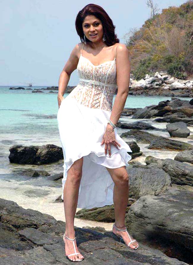 दक्षिण की फिल्‍मों में बॉलीवुड अभिनेत्रियां | दक्षिण का जलवा