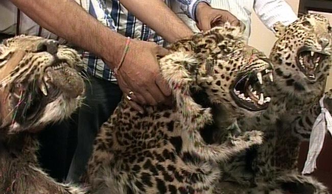 5 मई 2012: तस्‍वीरों में दिनभर की अहम खबरें | पढ़ें