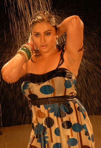 साड़ी से लेकर बिकनी तक का कमाल | दक्षिण का जलवा