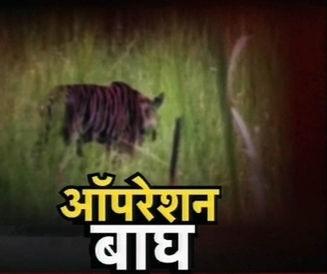 23 जून 2012: तस्वीरों में दिनभर की बड़ी खबरें | पढ़ें